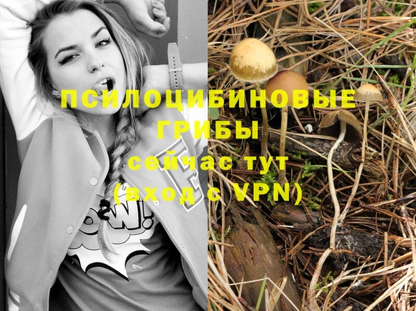альфа пвп Лиски