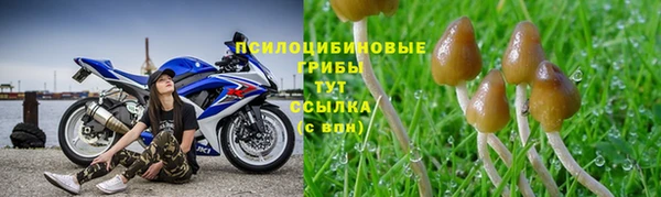 молекула духа Липки