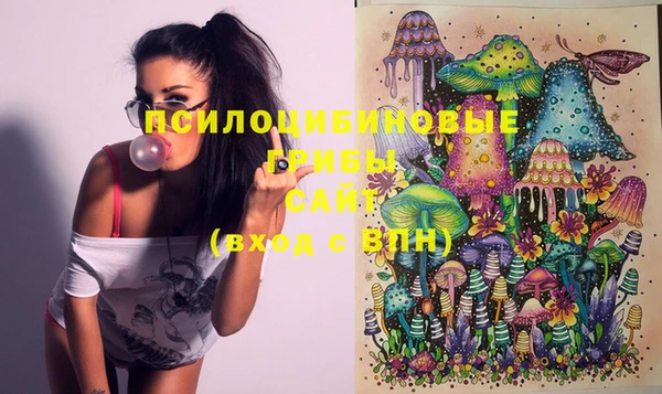 молекула духа Липки