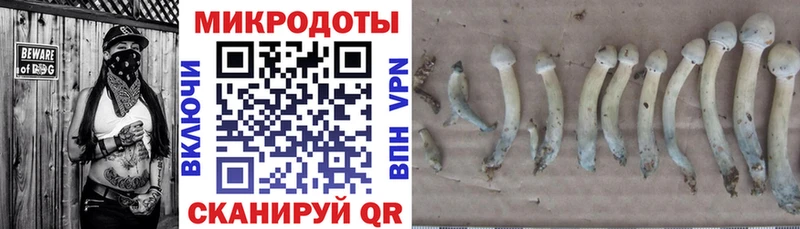 Купить  Светлый  Псилоцибиновые грибы ЛСД 